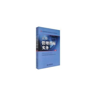 企業(yè)管理咨詢實務(全兩冊)圖片-